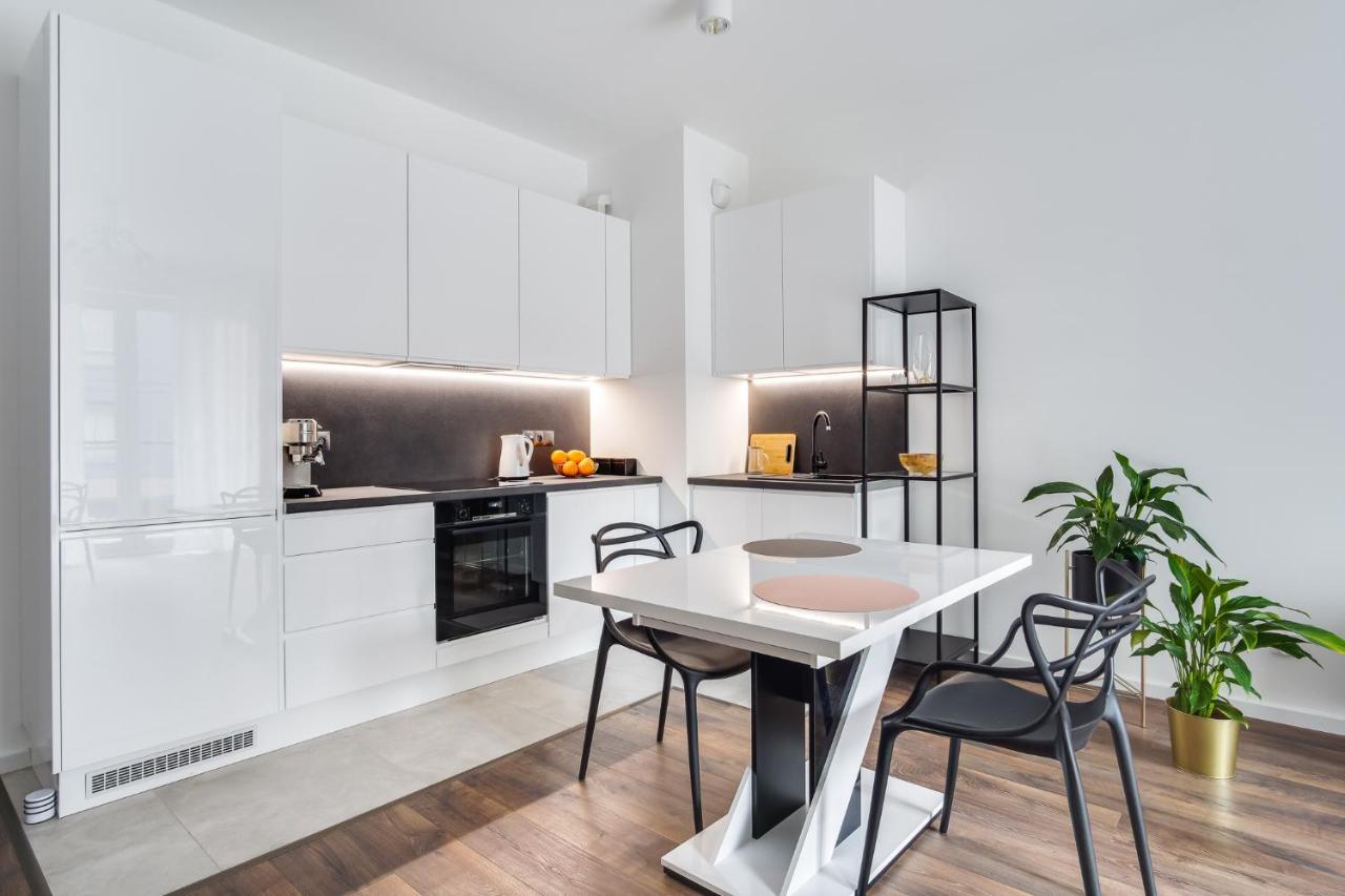 Apartament Chwaliszewo Z Balkonem - Free Parking Poznan Dış mekan fotoğraf